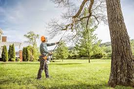 Best Arborist Consultation Services  in Burnsville, MN