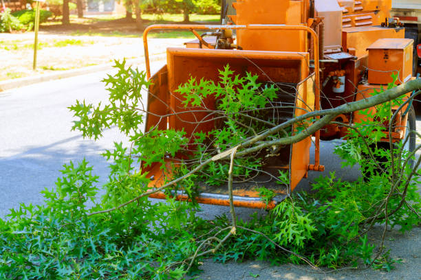 Mulching Services in Burnsville, MN